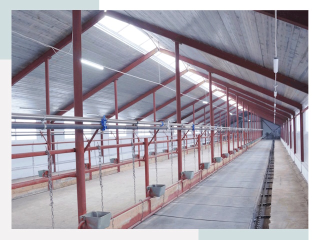 Строительство коровников в Красноуфимске от 609 руб.