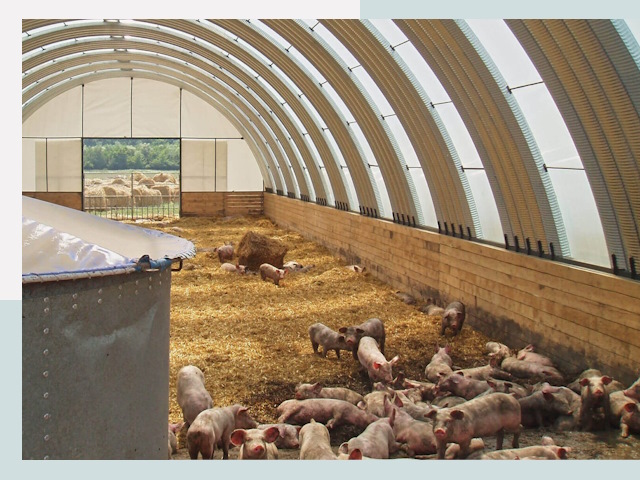 Строительство свинарников в Красноуфимске