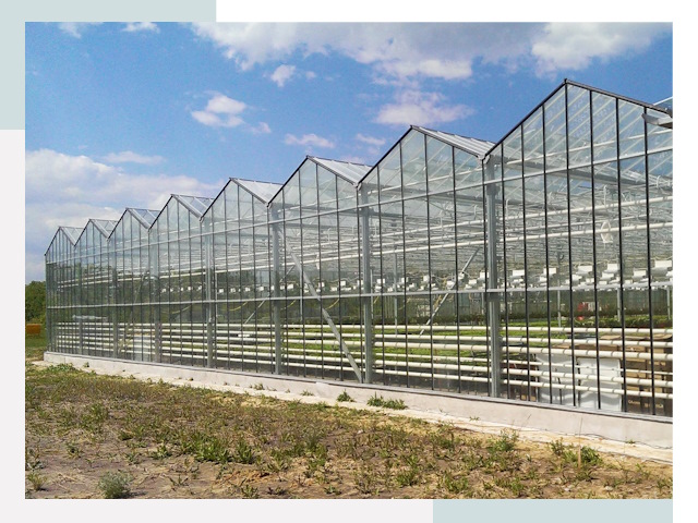 Строительство теплиц в Красноуфимск от 609 руб. за м²