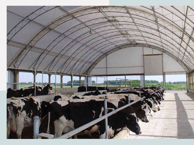 Тентовые коровники в Красноуфимске